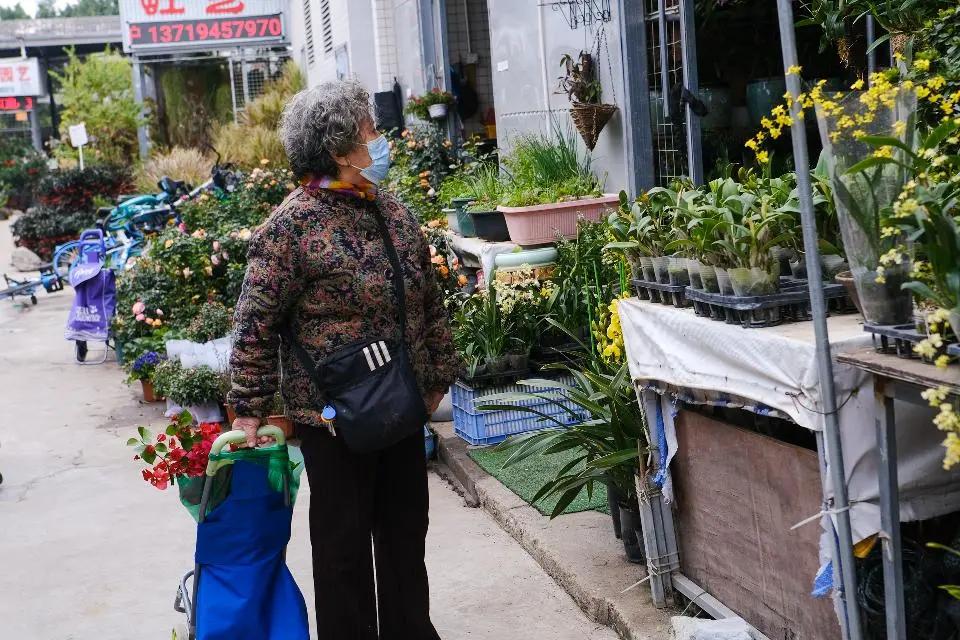 广州芳村花卉市场开市,广州岭南花卉天光墟开市时间