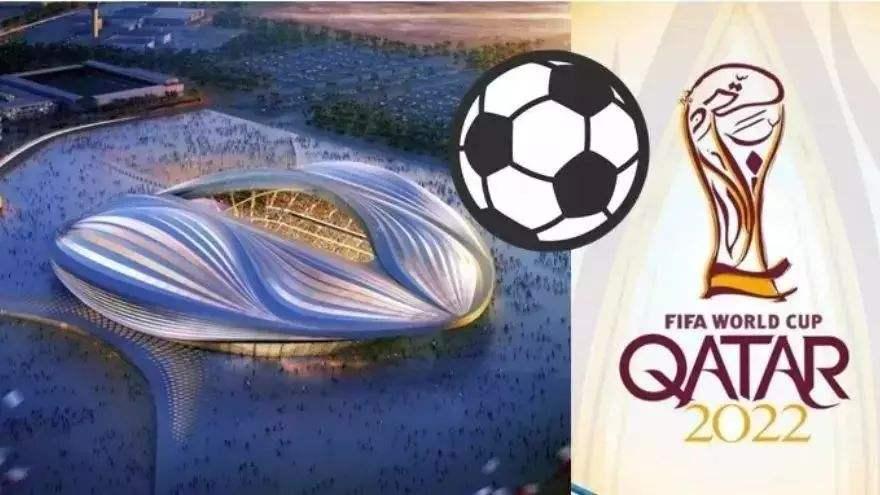 跟着孩子看世界杯感悟,带孩子看世界杯的体验