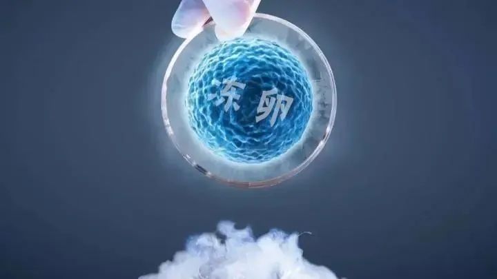 单身女性冻卵的法律规制与治理对策