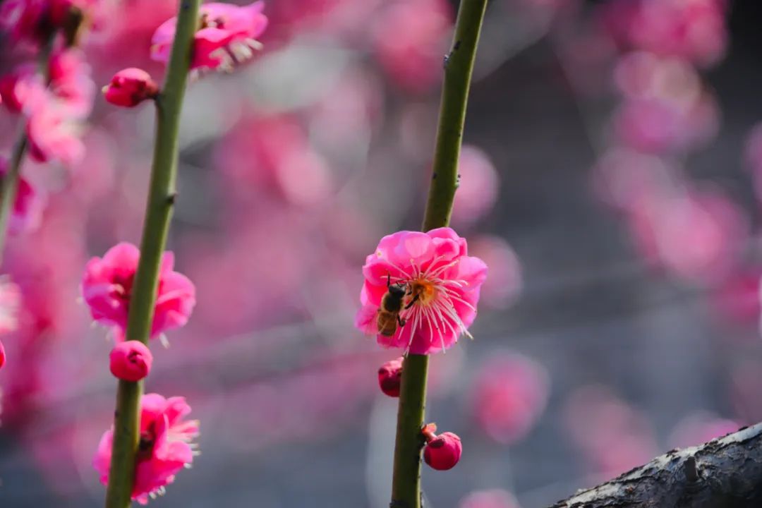 诗词名句100句哲理,古诗词中富含哲理的诗句连续两句