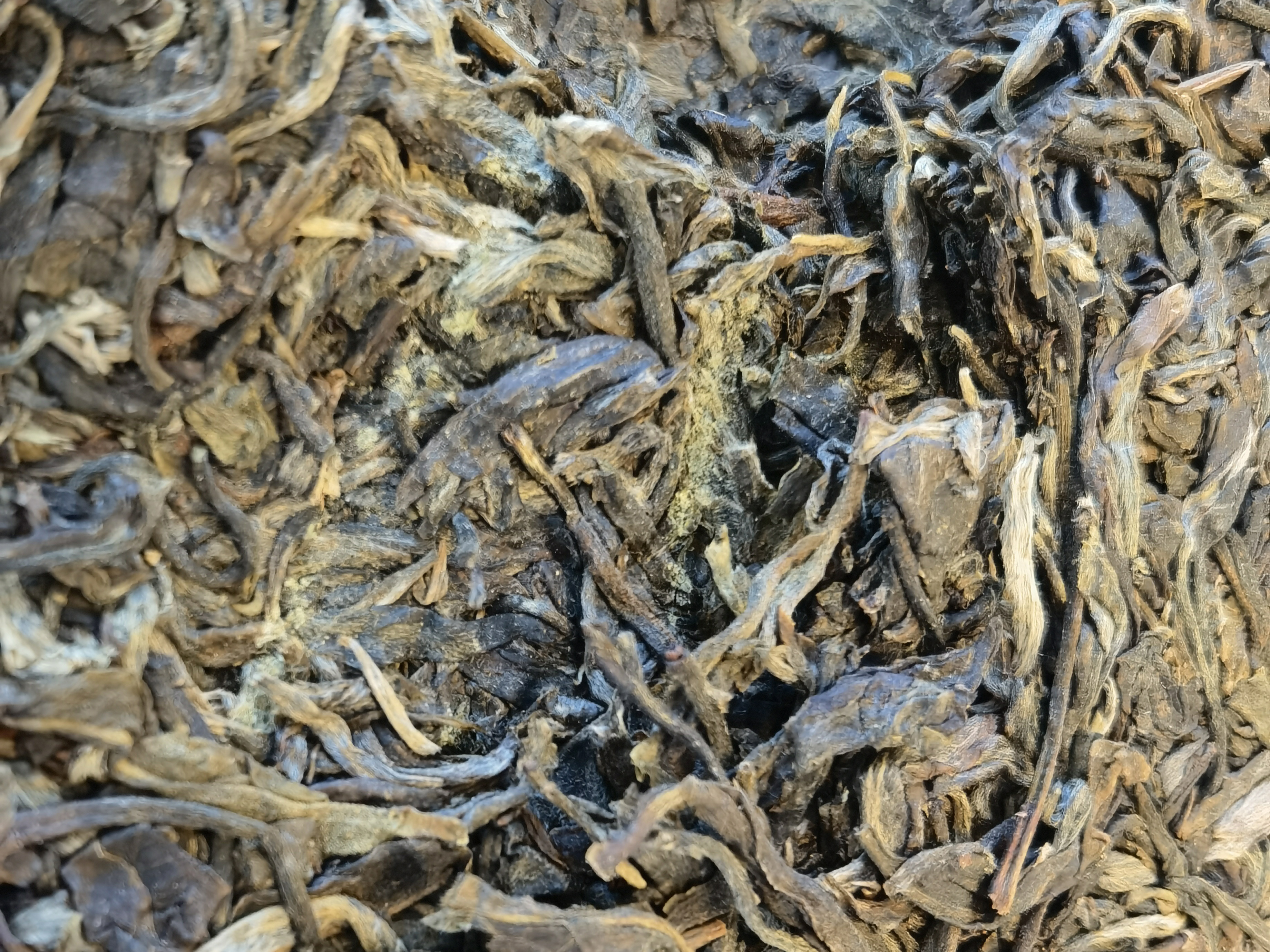 普洱茶受潮可以用除湿机吗,普洱茶受潮用抽湿机