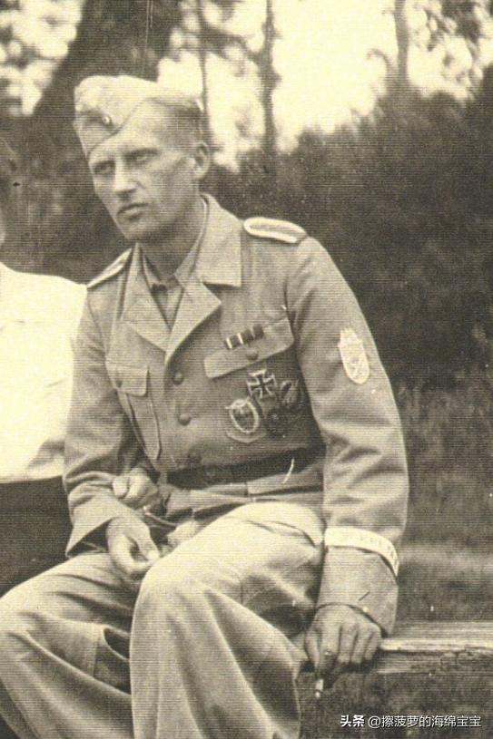 霍尔姆盾章二战德国,二战德国军奖章