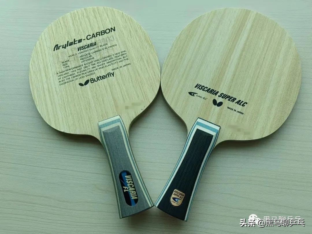 樊振东蝴蝶t08,蝴蝶樊振东打法