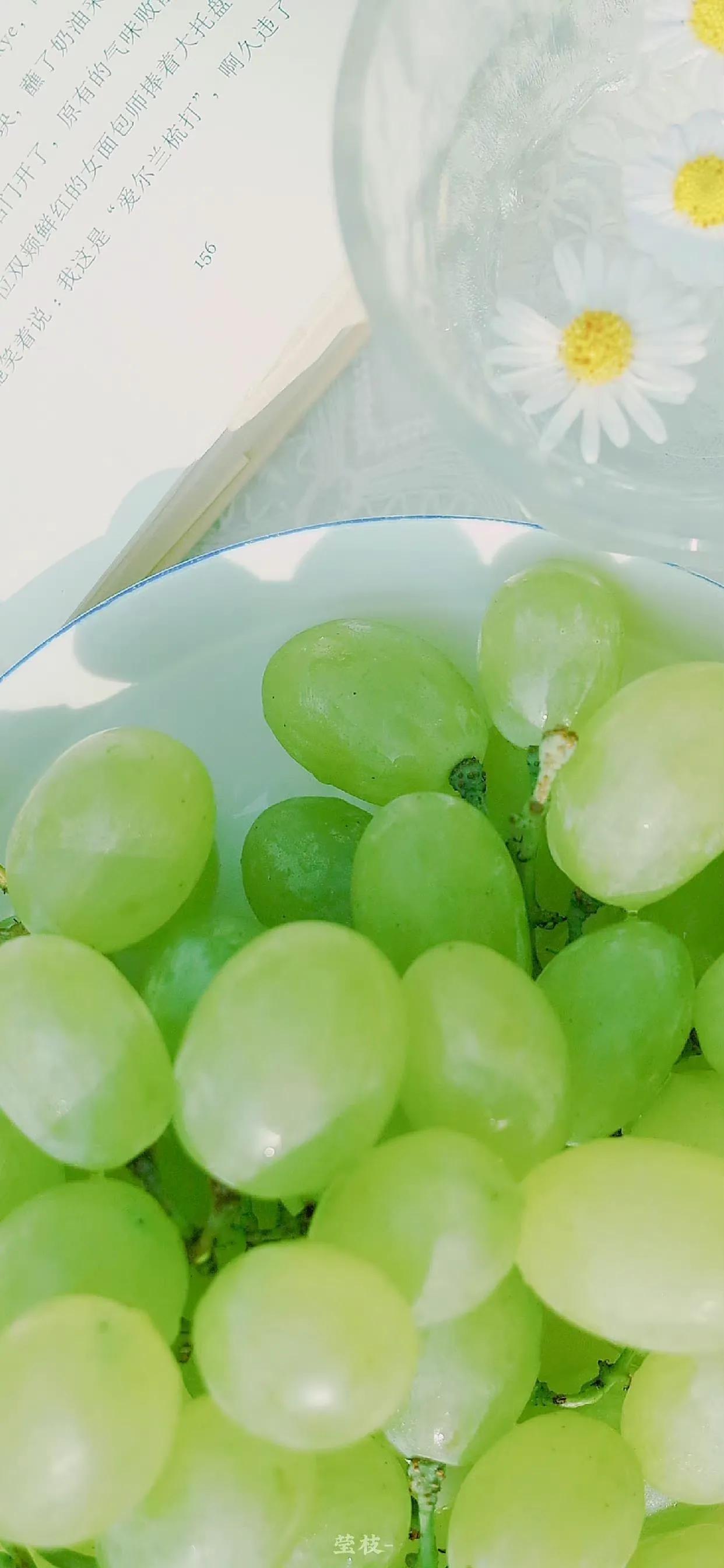 夏季清新凉快的壁纸高清,夏天一看就很凉爽的壁纸