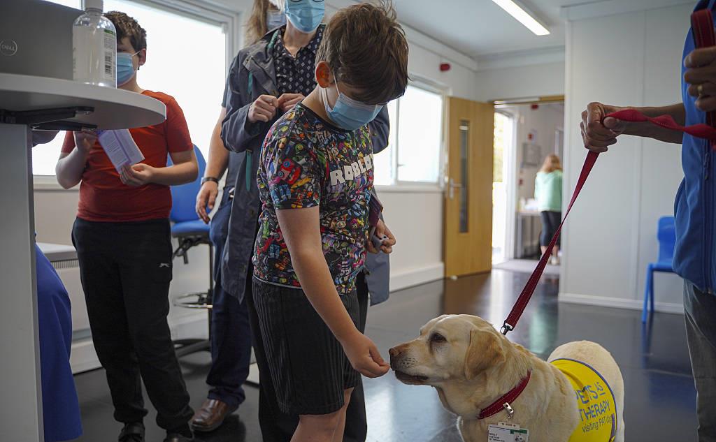 国外小学生心理健康教育现状,国外幼儿心理健康教育研究现状