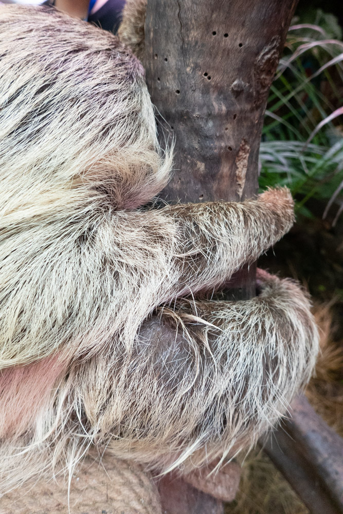 广州长隆野生动物园蛇之秘境,广州这个城市真的好繁华