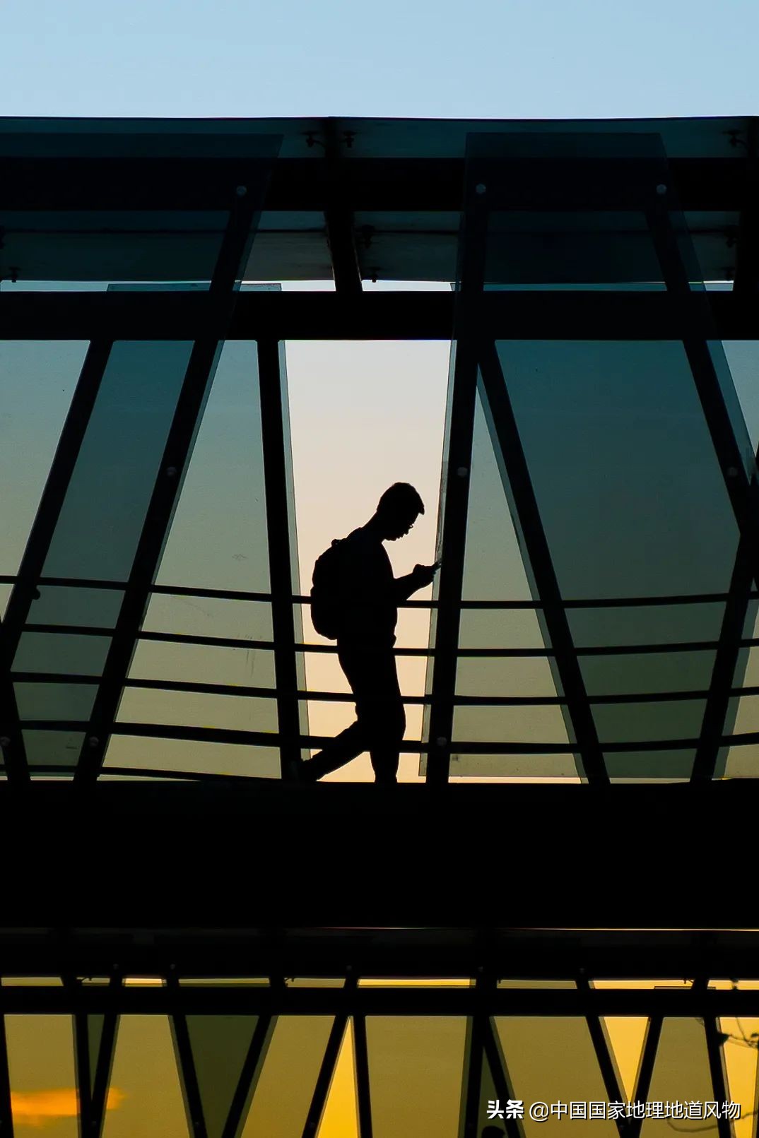 中南财经大学和中南大学法学对比,中南大学哪个系最强