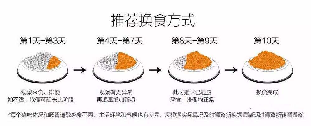 怎么选便宜又好的猫粮,猫粮盲选