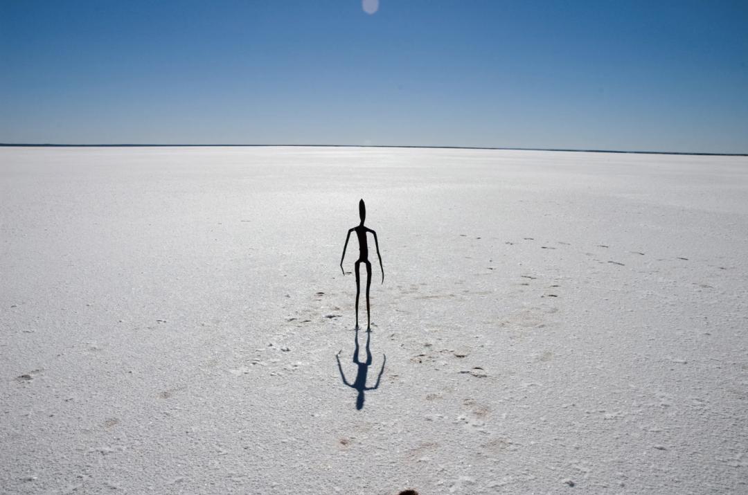 最高级的素质,顶级身体形态