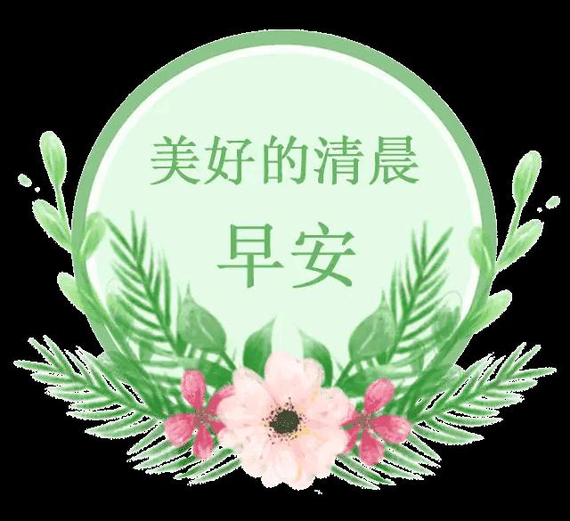 2023年03月03日星期五农历：癸卯年【兔年】二月十二八九第9天