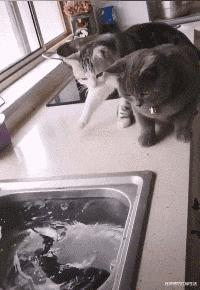 女友是太平公主,说女朋友是太平公主怎么哄