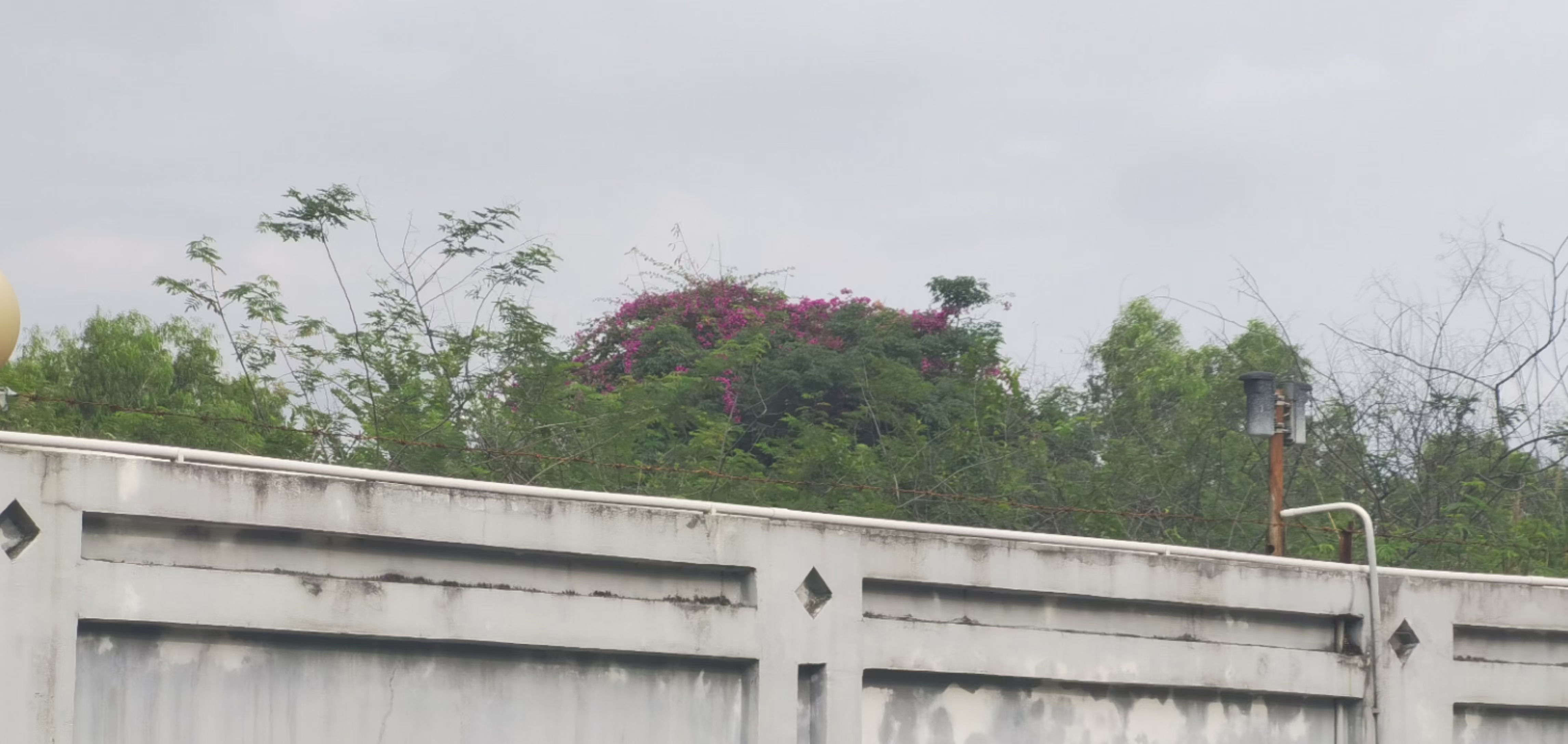 鍚戝墠璺戠殑椋庢櫙,璺戣捣鏉ョ殑椋庢櫙