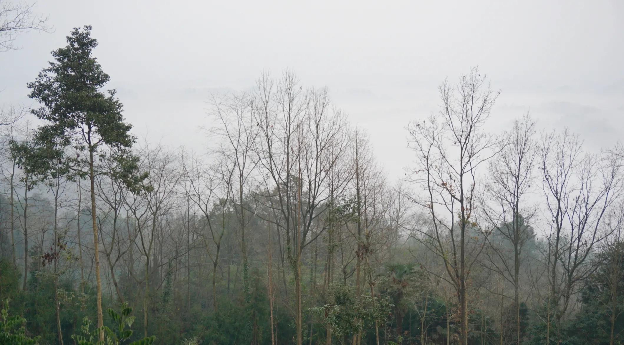 五台山文殊道场讲解,慈悲三昧水忏上中下卷全文注音版