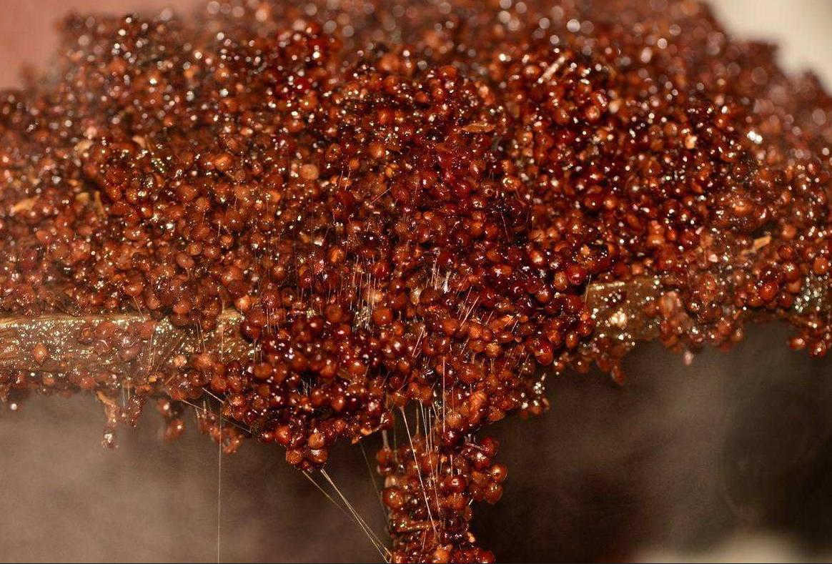 白酒怎么看酒瓶上的日期,白酒酒瓶如何检测