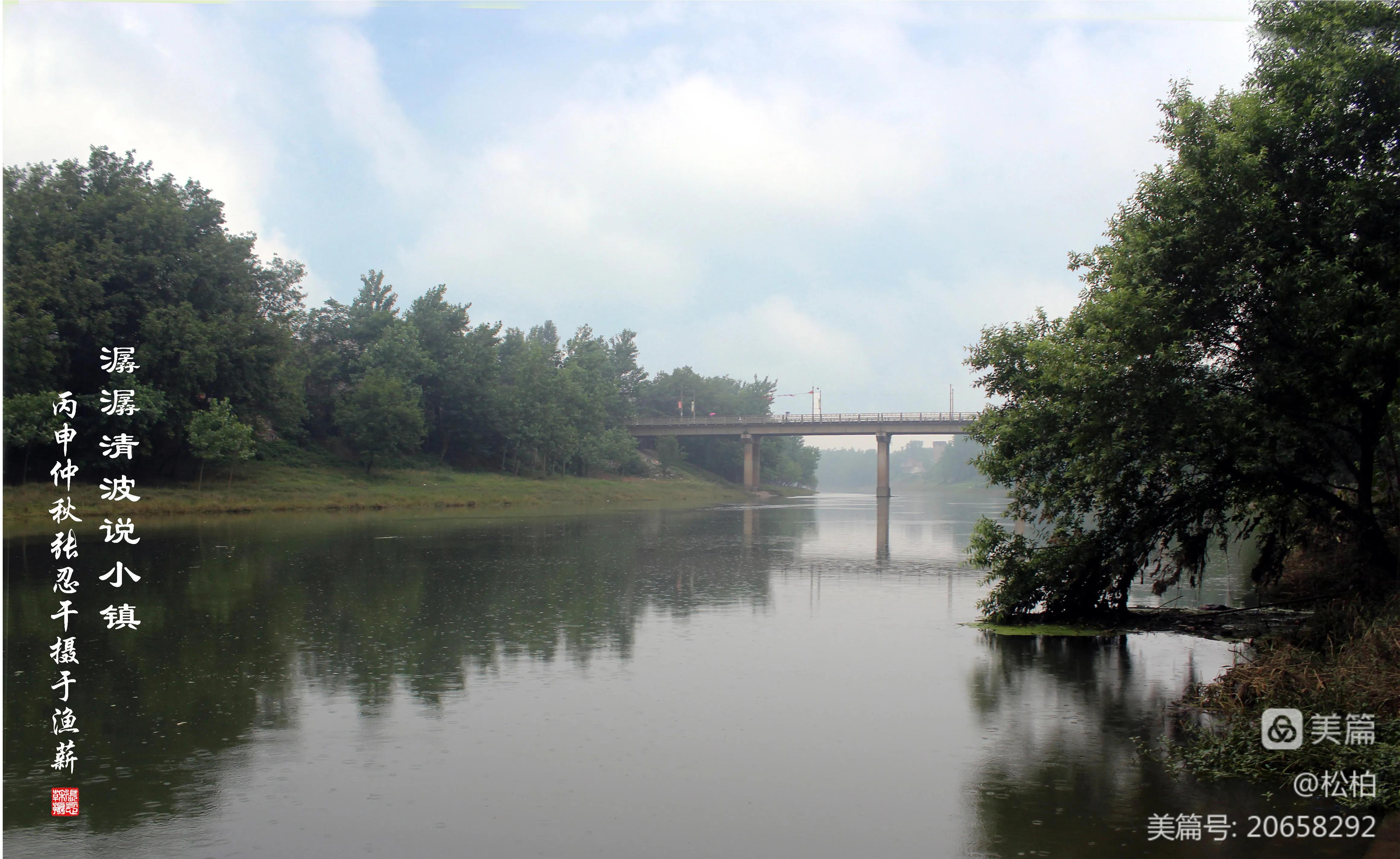 松柏古树图片,松柏古筝品牌