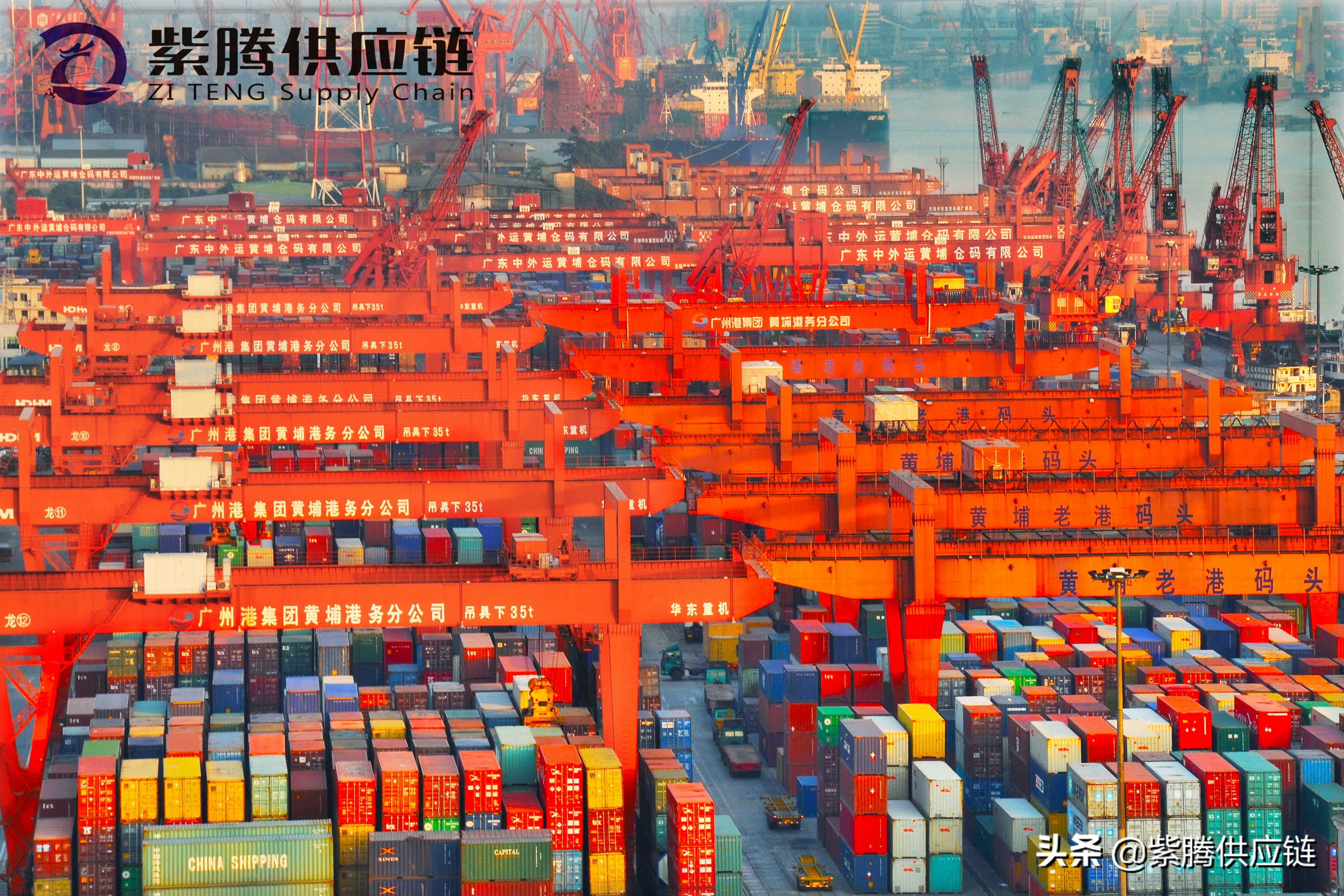 海运整箱什么费用是按票收,整箱海运标准