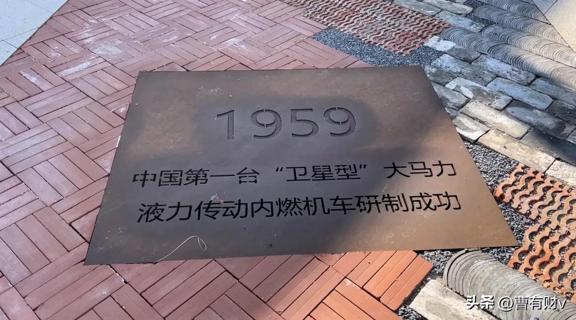 青岛中山公园网红打卡点,青岛亲子游攻略网红打卡地