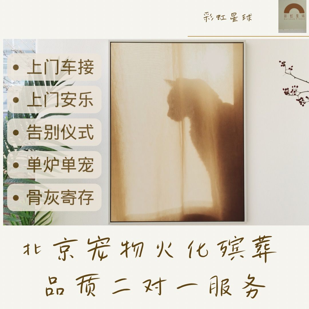 小猫和小狗去世了要怎么办,家里的猫和狗都死了怎么回事