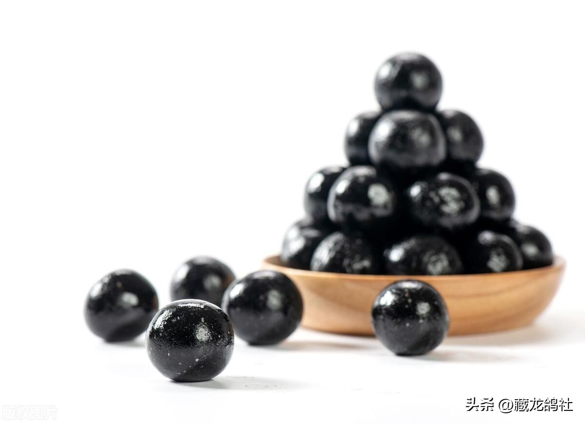 当代赛鸽缺的绝对不是滋补丸