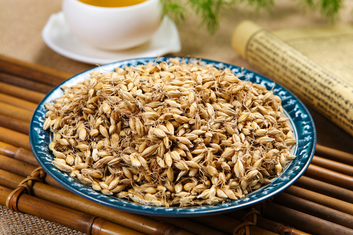 肝郁气滞的中药方剂生麦芽,生麦芽治胃胀