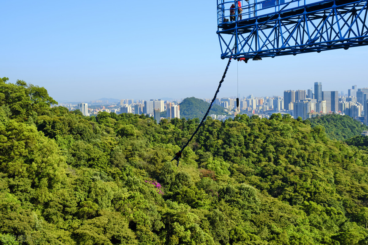 景区网红项目的本质在哪如何打造,网红旅游项目安全问题