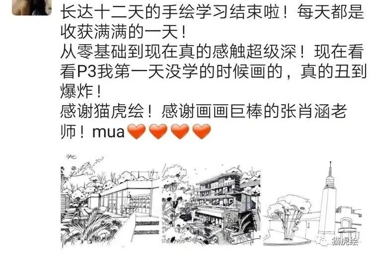 2022猫虎绘暑假手绘班招生简章「线上+线下」