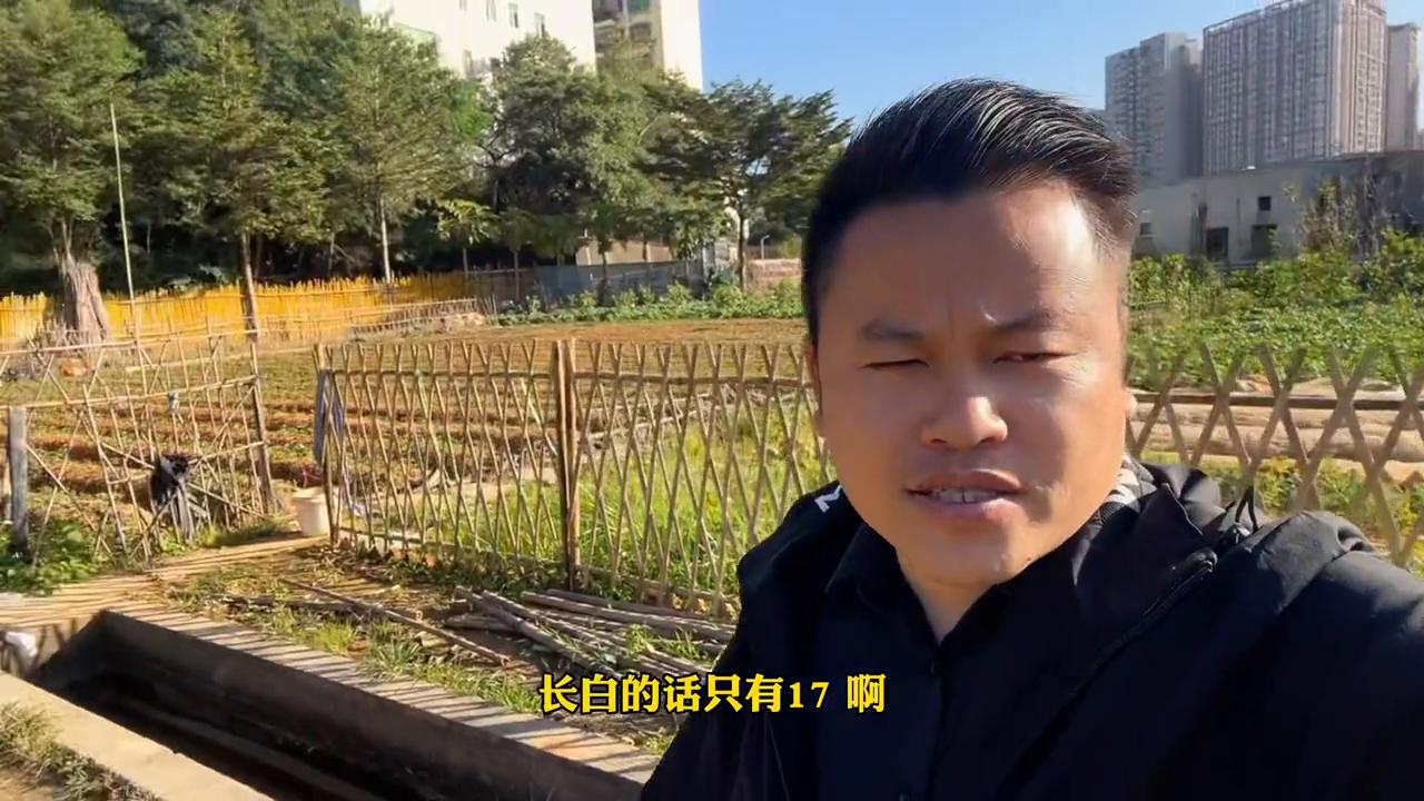 龙华康康22.5，泰恒诺19包嘴巴包床铺#深圳同城