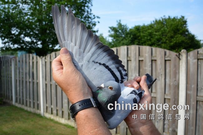 万里挑一的获奖者图片,万里挑一比赛视频