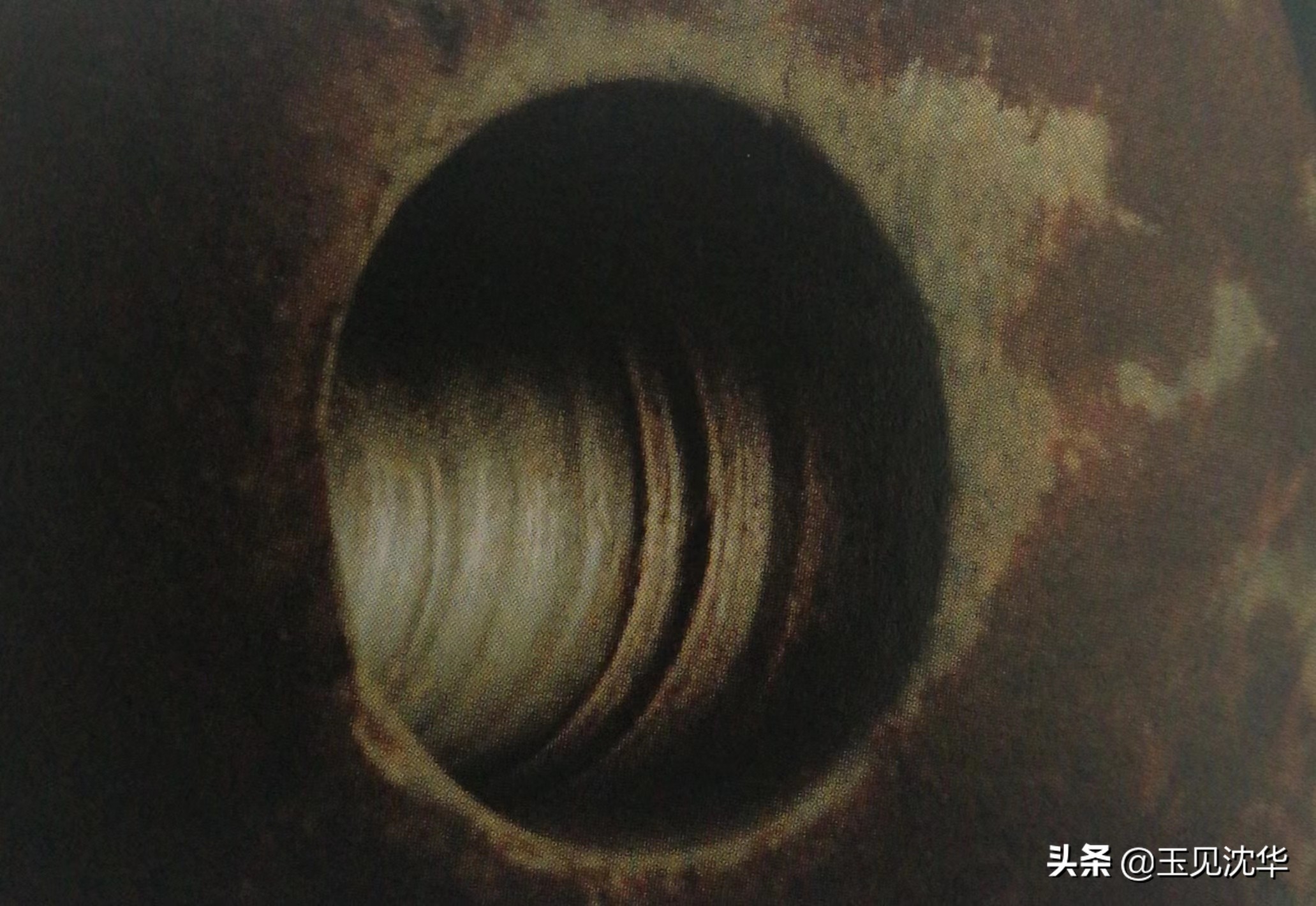 中国玉文化之红山玉器,红山文化玉器的各类造型