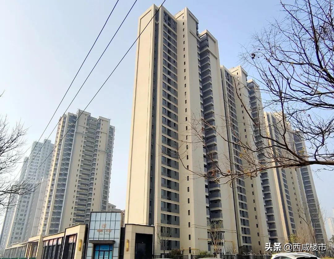 咸阳金科楼盘工程进度,咸阳所有在售楼盘价格