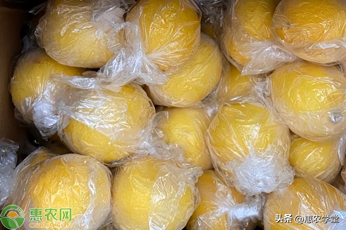 香水柠檬市场价格多少,柠檬市场价格走势