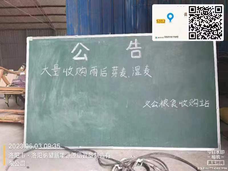 小麦发霉变黑怎么办,小麦发芽了用什么药能补救