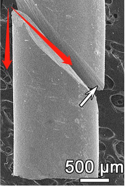 东风快递业务介绍,东风快递公司业务方向和业务内容