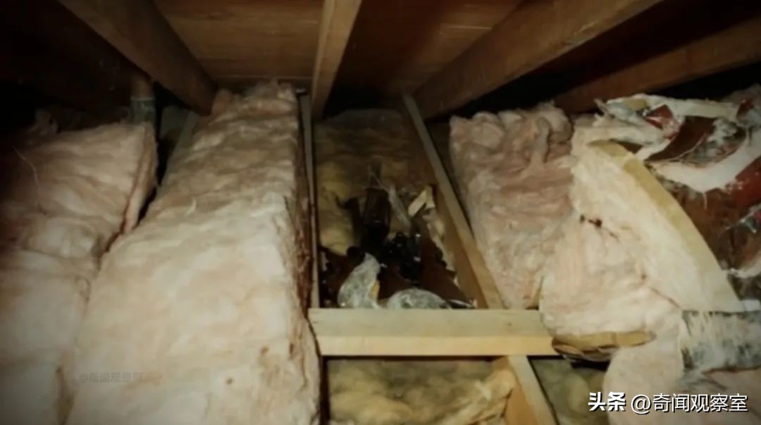 放你走再*击狙**你!12年犯案30多起,被判461年监禁,美国旧案