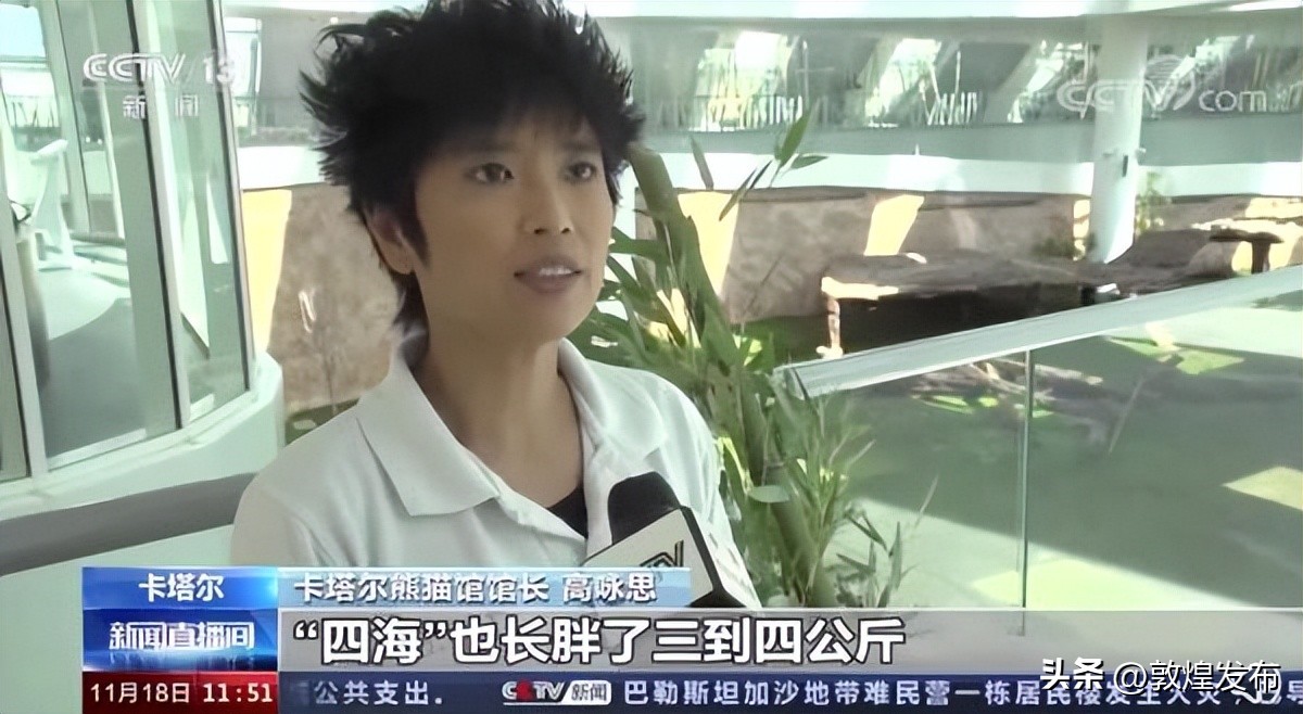 这届世界杯含“中”量有点高！从大熊猫到中国制造，能去的都去了！