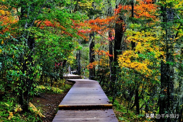 云南必去的4个景点,云南网红打卡景点