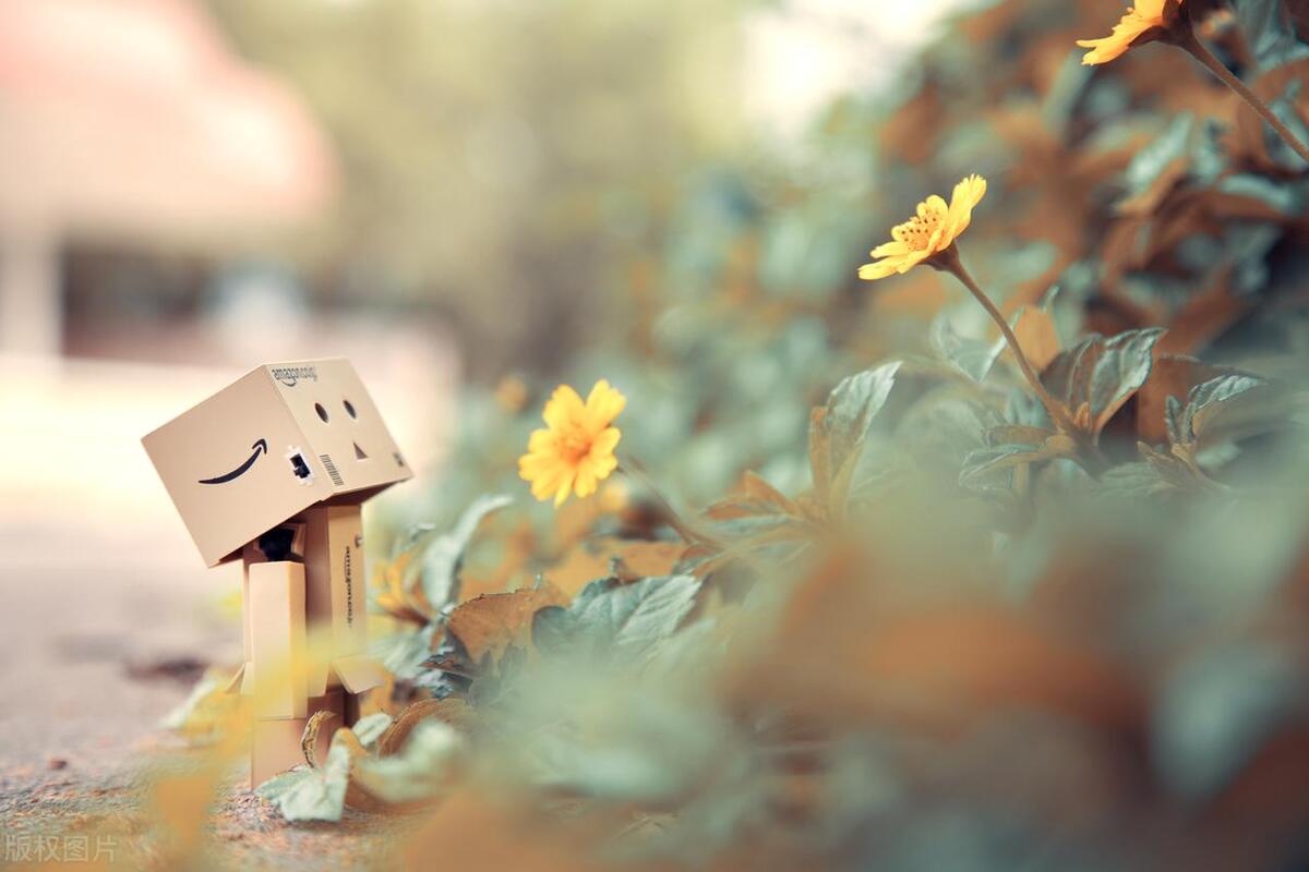 职业规划怎么做成ppt,职业规划怎么说