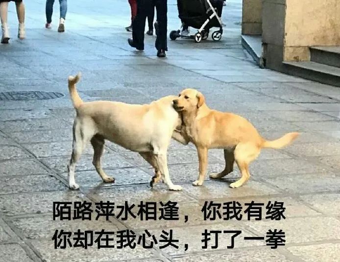 中国暴打日本人,中国鳗鱼咬人事件