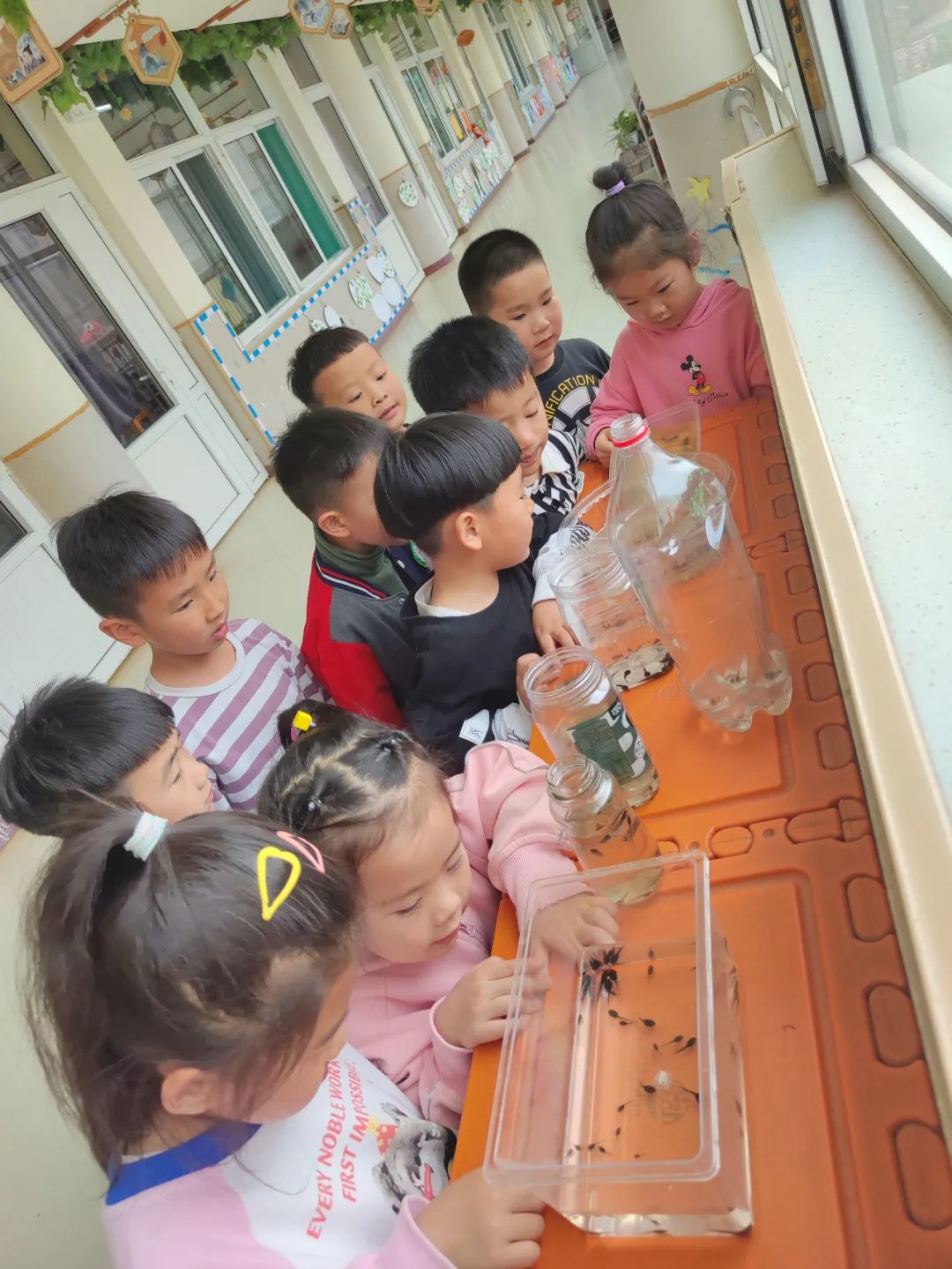新绛县幼儿园【中四班班本课程】遇见蝌蚪