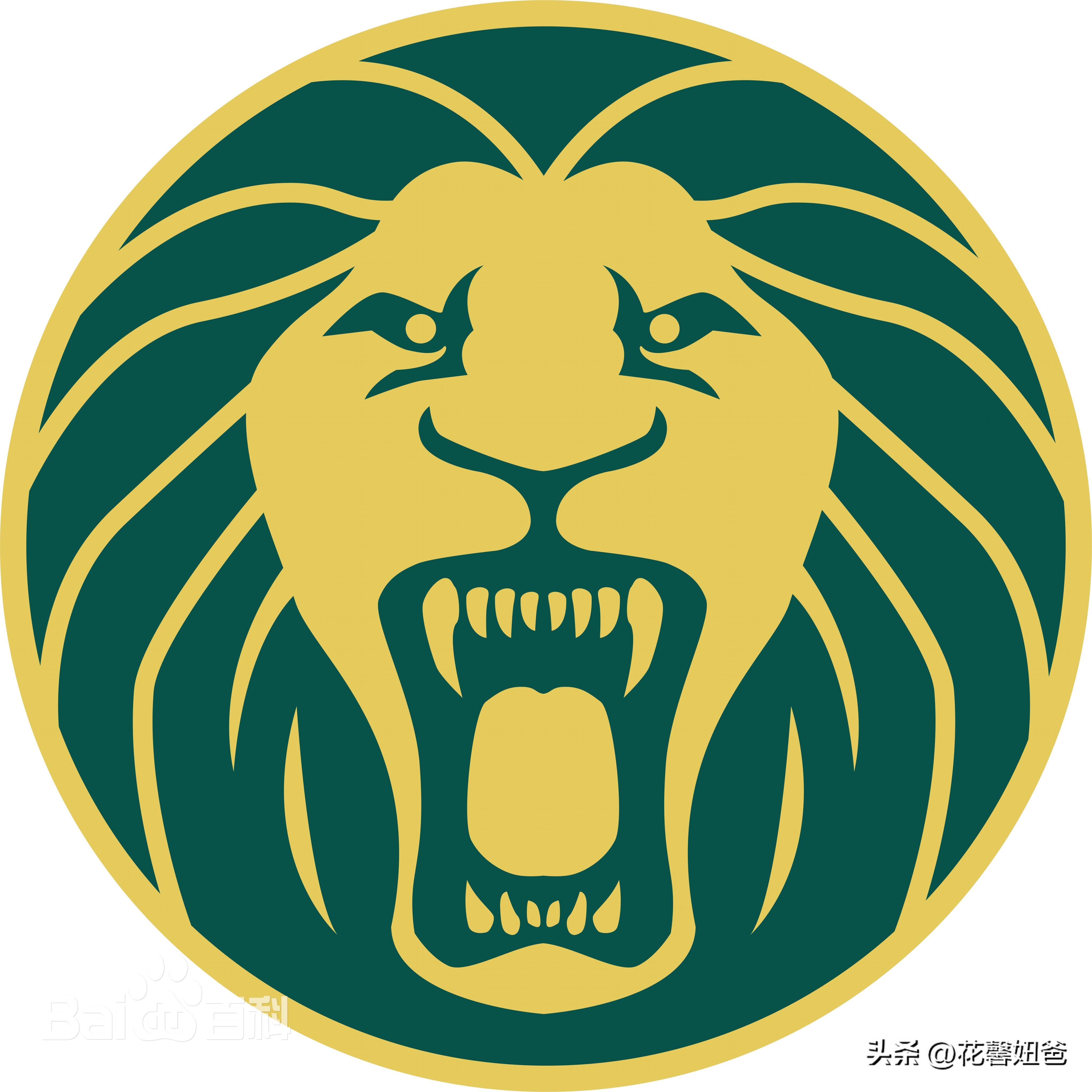 卡塔尔世界杯三十二强避坑手册非洲雄狮-喀麦隆