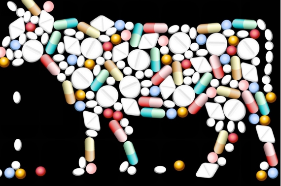 使用头孢时的注意事项需牢记,服用头孢的注意事项有哪些