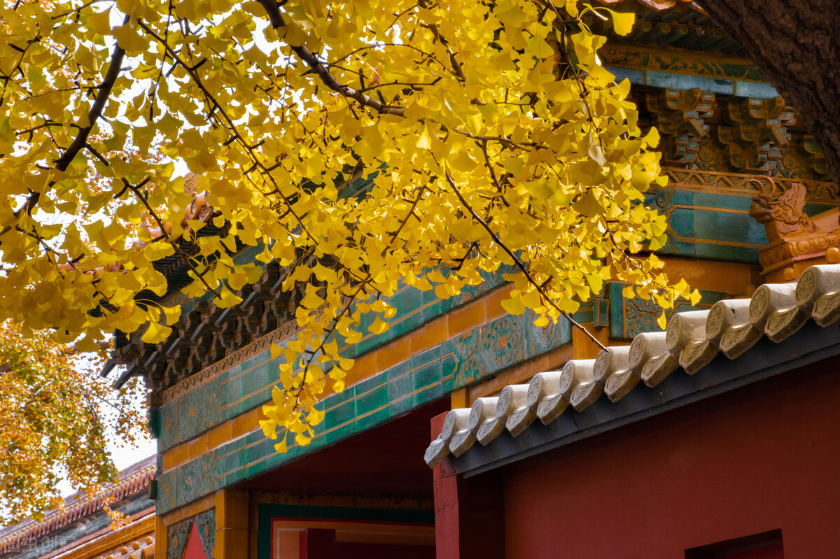 康熙自律的一天,康熙皇帝的一天作息