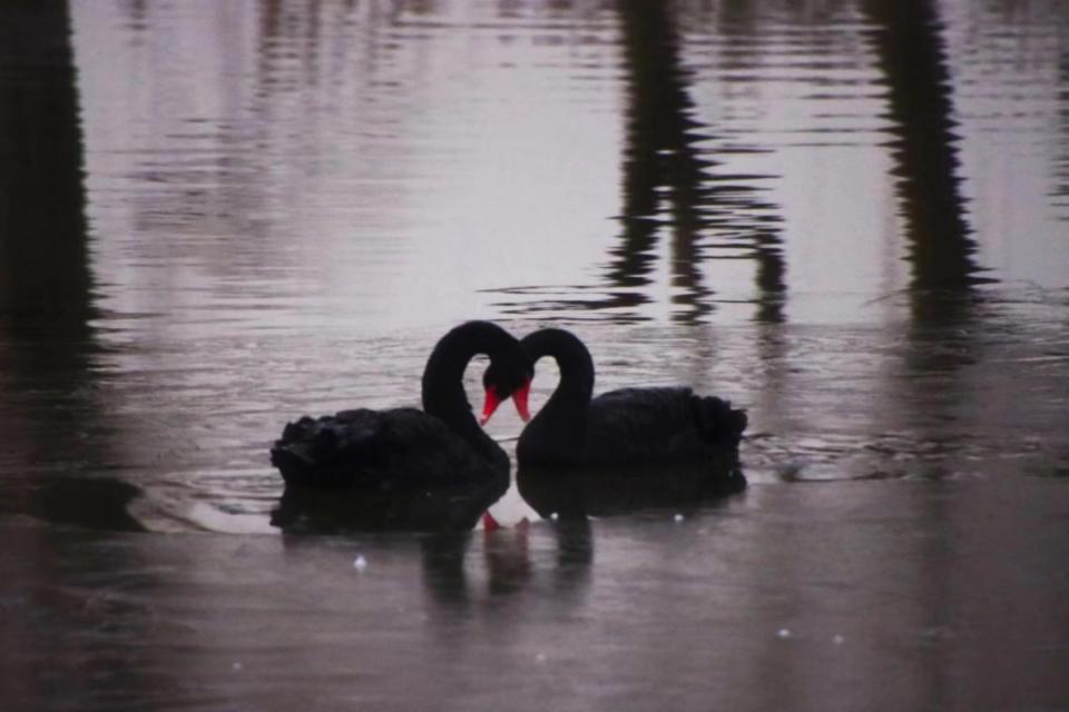 【云端研学】在龚俊同款母校东华大学读研究生是一种什么体验？