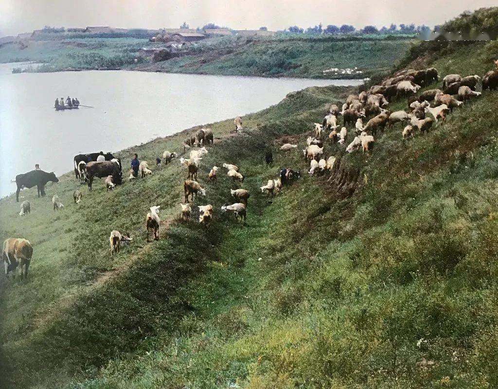 三十年的朋友大庆在童年时就是我们的楷模，原因不是因为他帅