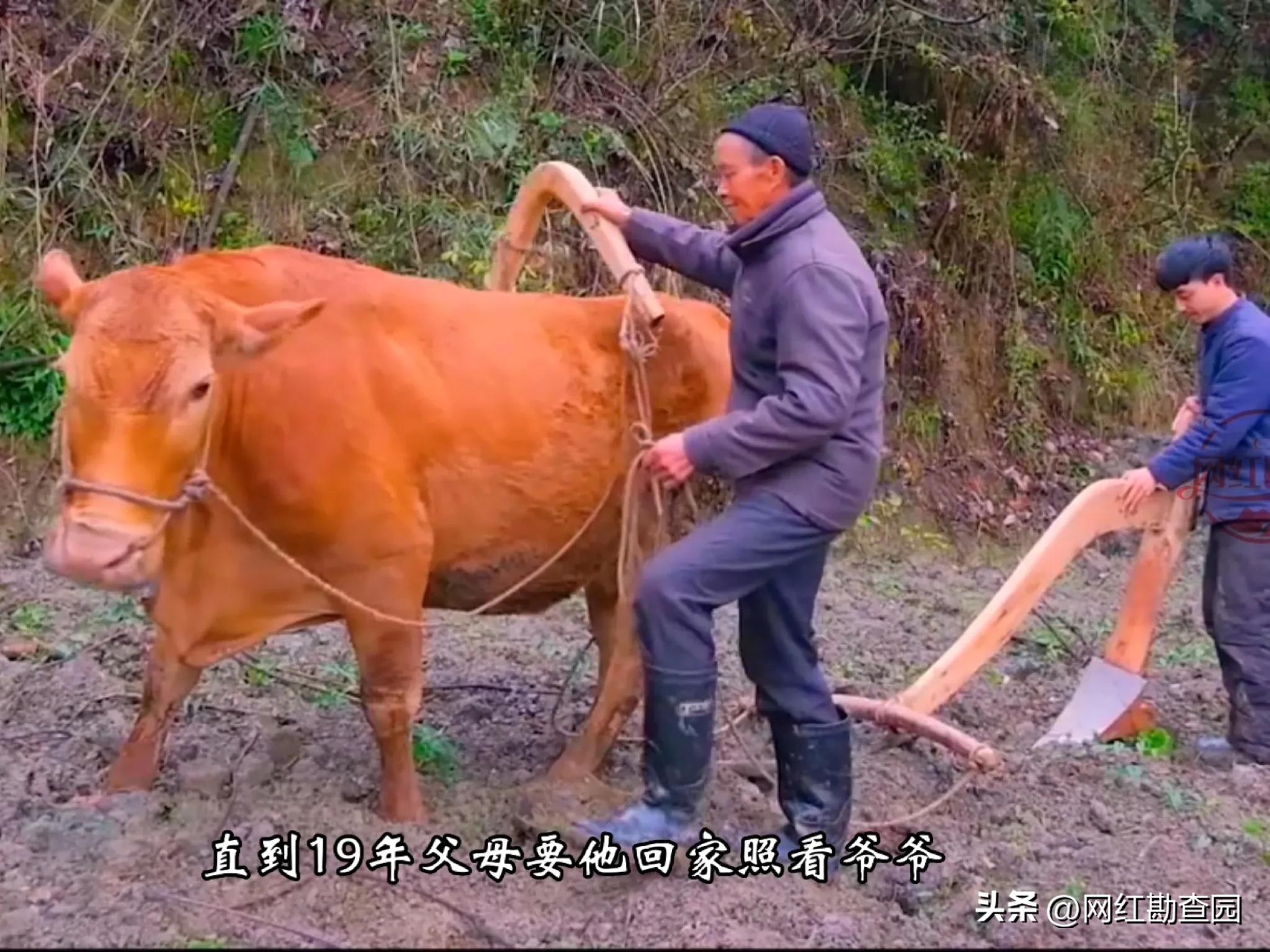 现代鲁班造木牛流马,贵州木匠造的木牛流马