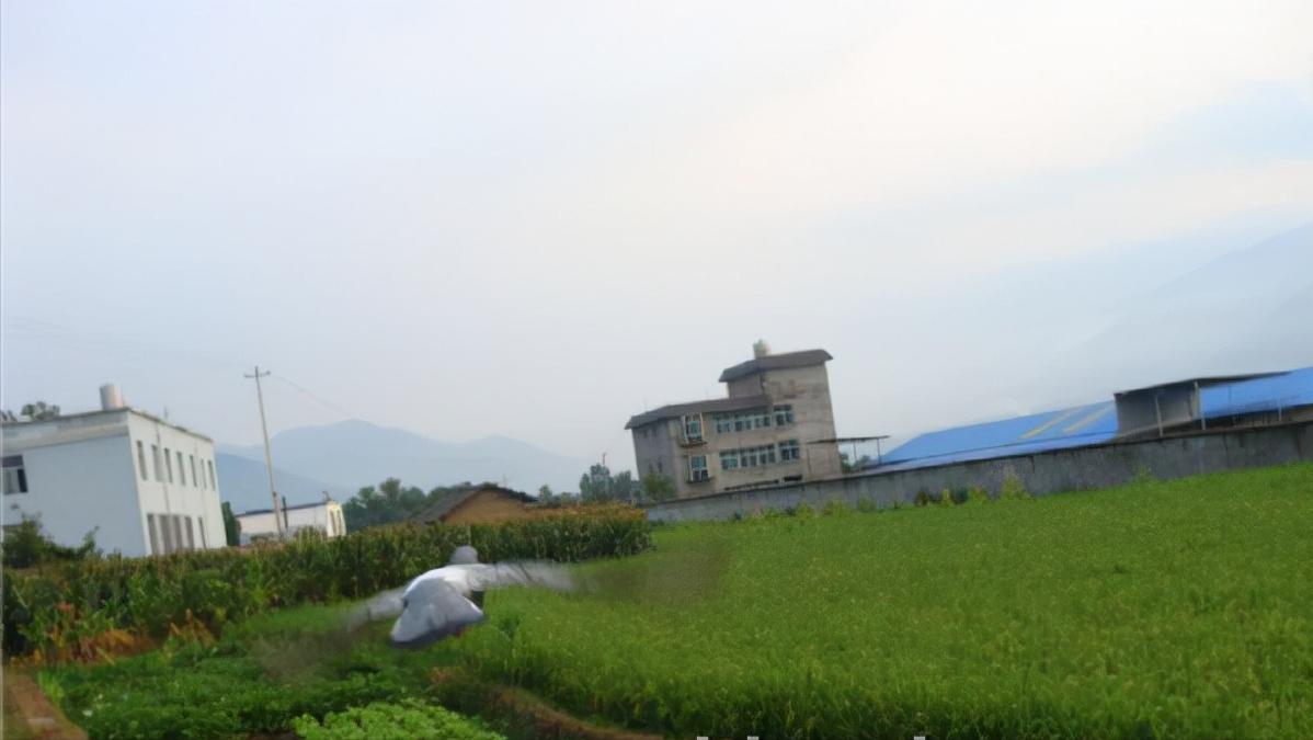 挤笼训练与单体训飞,图