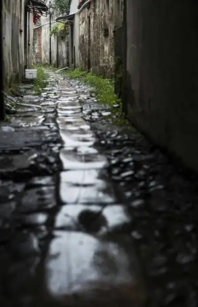 散文欣赏轻语岁月淡看流年,珍惜当下让人安然而静的散文