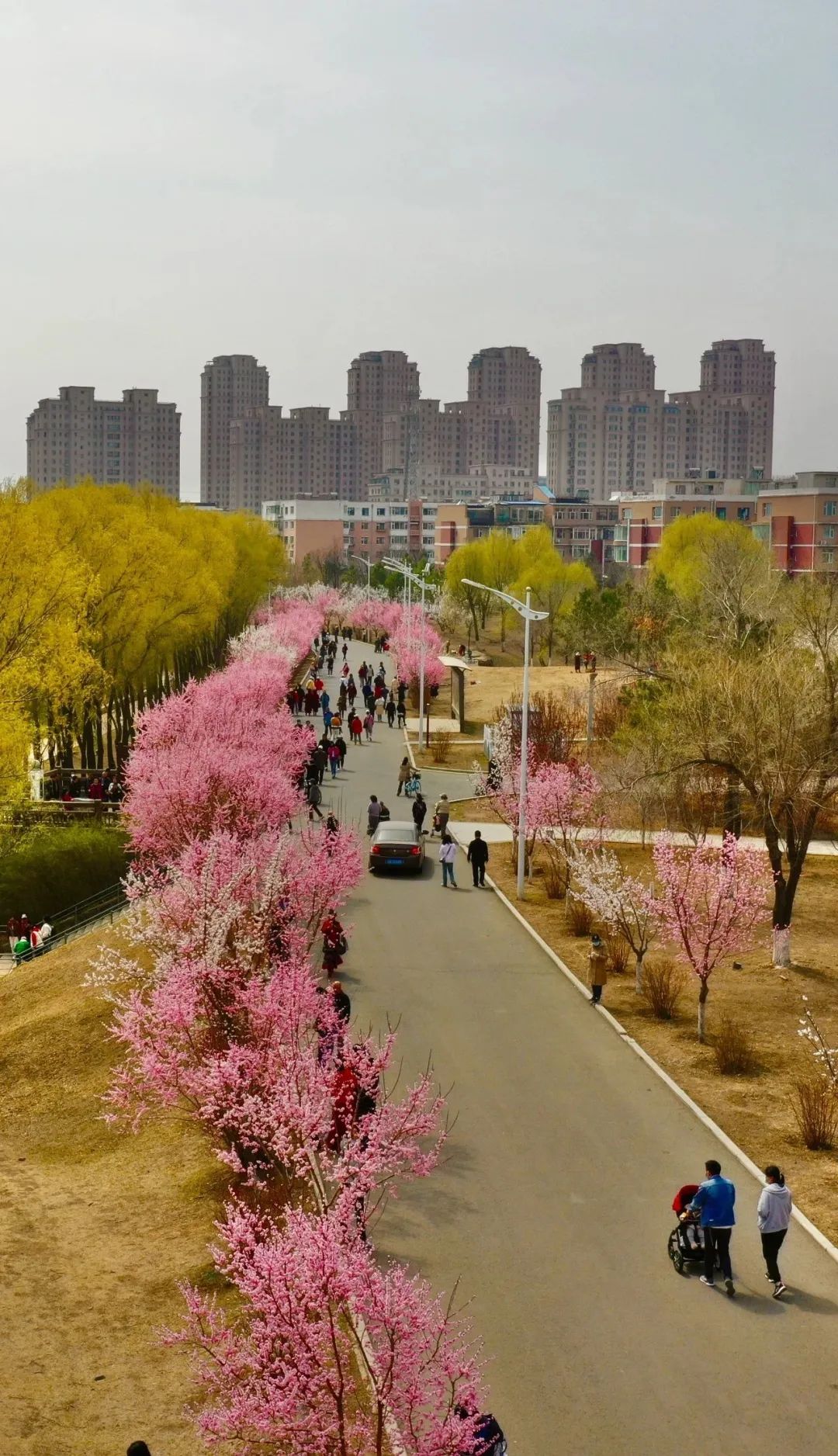 citywalk用脚步丈量城市,开启随性自由的citywalk