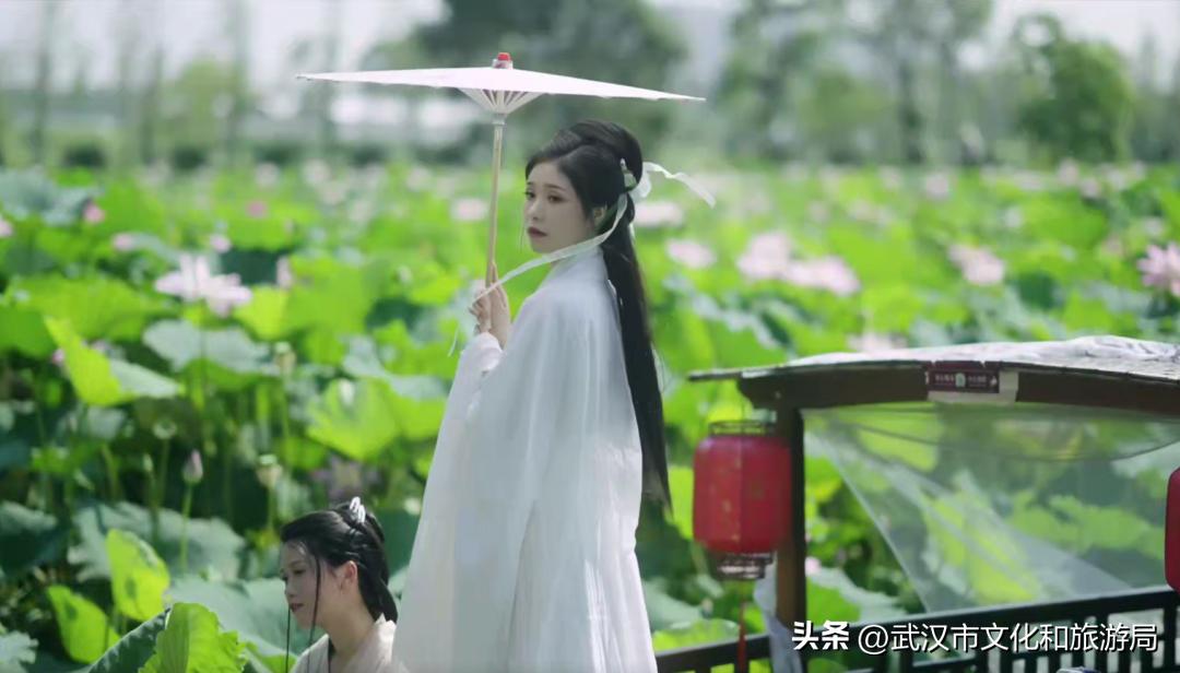 端午游攻略视频,端午出行攻略视频