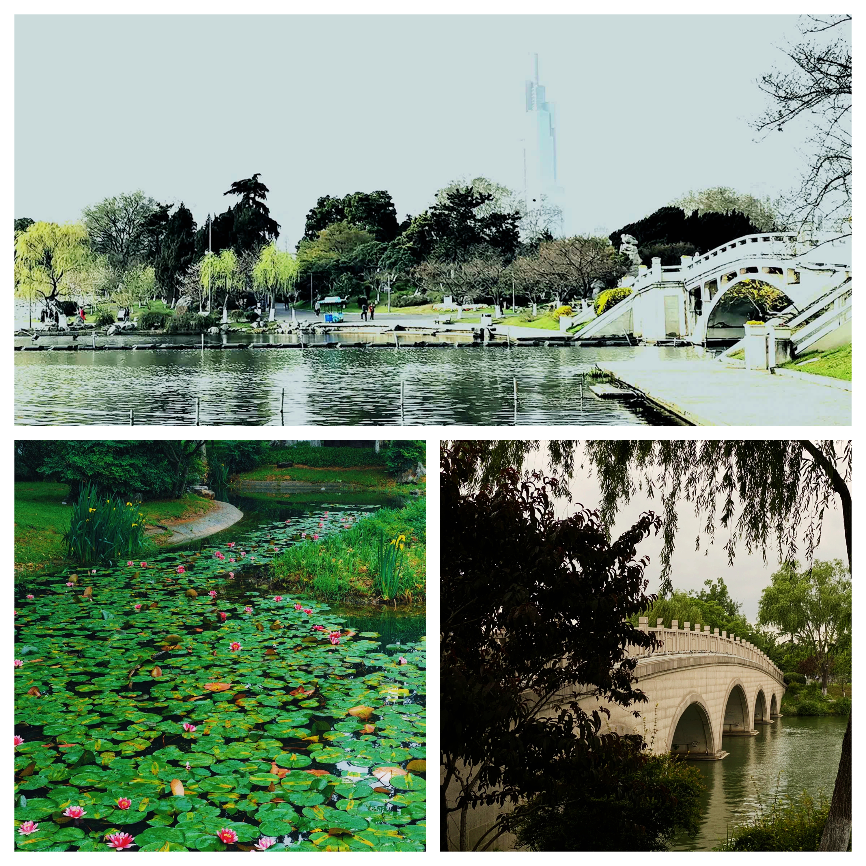 金陵明珠玄武湖,金陵明珠